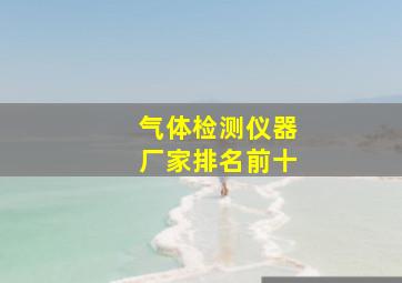 气体检测仪器厂家排名前十