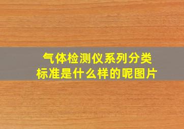 气体检测仪系列分类标准是什么样的呢图片