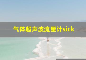 气体超声波流量计sick