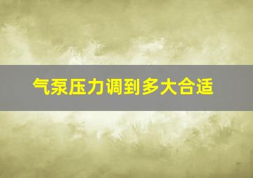 气泵压力调到多大合适