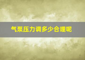 气泵压力调多少合理呢