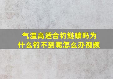 气温高适合钓鲢鳙吗为什么钓不到呢怎么办视频