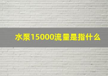 水泵15000流量是指什么