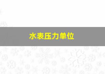 水表压力单位