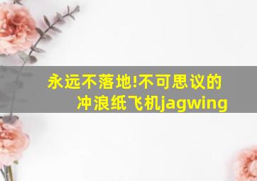 永远不落地!不可思议的冲浪纸飞机jagwing