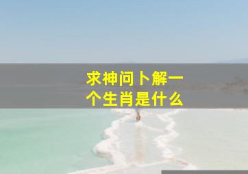 求神问卜解一个生肖是什么