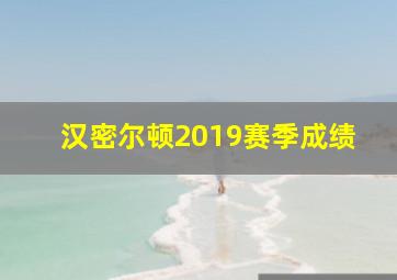 汉密尔顿2019赛季成绩