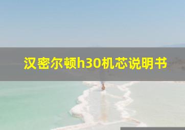 汉密尔顿h30机芯说明书