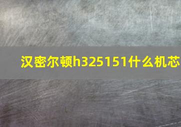 汉密尔顿h325151什么机芯