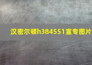 汉密尔顿h384551宣专图片