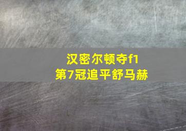 汉密尔顿夺f1第7冠追平舒马赫