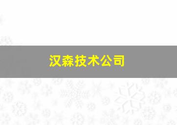 汉森技术公司