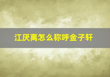 江厌离怎么称呼金子轩