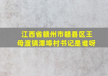 江西省赣州市赣县区王母渡镇潭埠村书记是谁呀