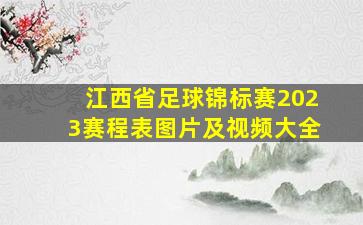 江西省足球锦标赛2023赛程表图片及视频大全