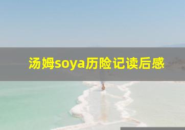 汤姆soya历险记读后感