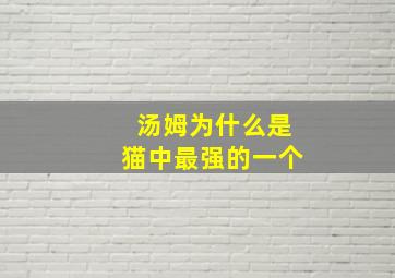 汤姆为什么是猫中最强的一个