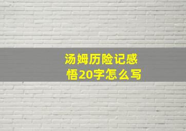 汤姆历险记感悟20字怎么写