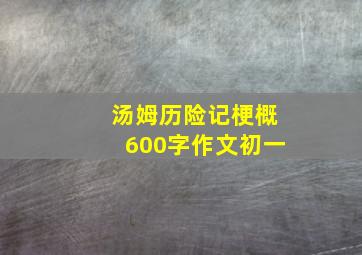 汤姆历险记梗概600字作文初一