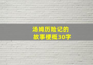 汤姆历险记的故事梗概30字