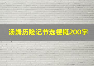 汤姆历险记节选梗概200字