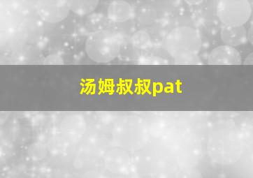 汤姆叔叔pat