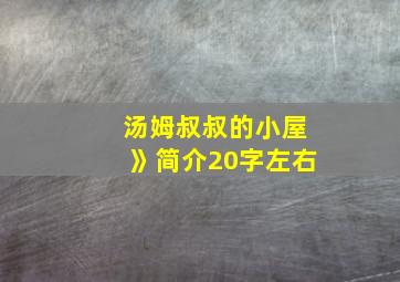 汤姆叔叔的小屋》简介20字左右