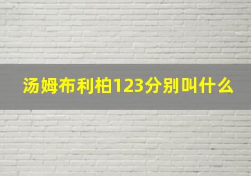 汤姆布利柏123分别叫什么