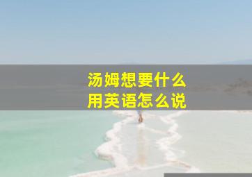 汤姆想要什么用英语怎么说