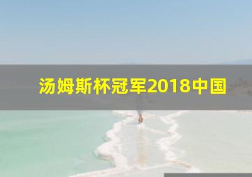 汤姆斯杯冠军2018中国