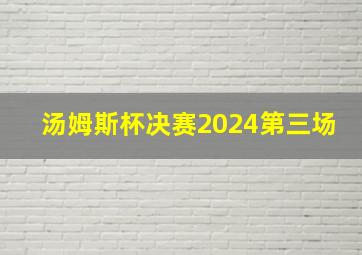 汤姆斯杯决赛2024第三场