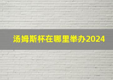 汤姆斯杯在哪里举办2024