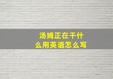 汤姆正在干什么用英语怎么写