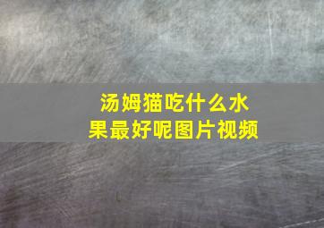 汤姆猫吃什么水果最好呢图片视频