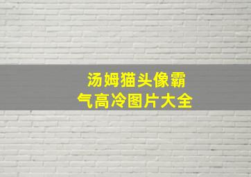 汤姆猫头像霸气高冷图片大全