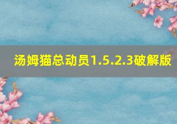 汤姆猫总动员1.5.2.3破解版