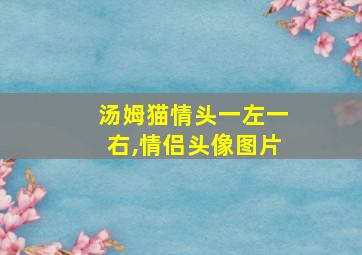 汤姆猫情头一左一右,情侣头像图片