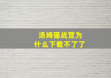 汤姆猫战营为什么下载不了了