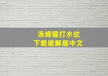 汤姆猫打水仗下载破解版中文