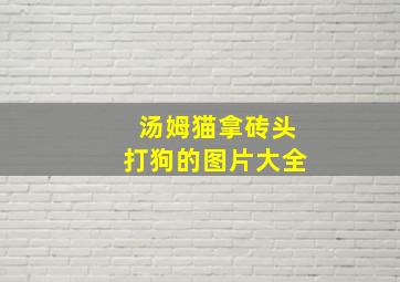 汤姆猫拿砖头打狗的图片大全