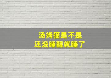 汤姆猫是不是还没睡醒就睡了