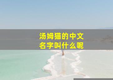 汤姆猫的中文名字叫什么呢