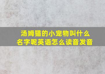 汤姆猫的小宠物叫什么名字呢英语怎么读音发音