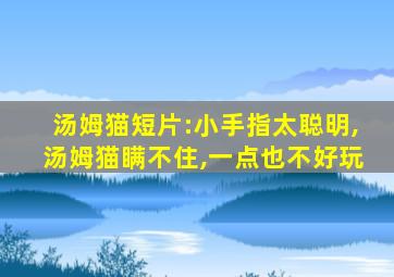 汤姆猫短片:小手指太聪明,汤姆猫瞒不住,一点也不好玩