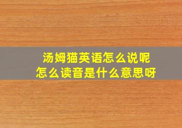 汤姆猫英语怎么说呢怎么读音是什么意思呀