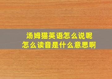 汤姆猫英语怎么说呢怎么读音是什么意思啊