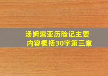 汤姆索亚历险记主要内容概括30字第三章