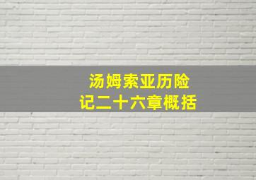 汤姆索亚历险记二十六章概括