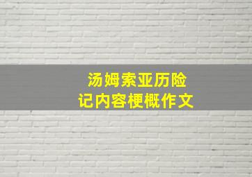 汤姆索亚历险记内容梗概作文