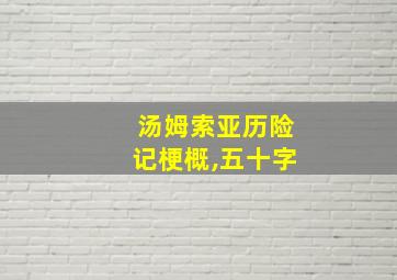 汤姆索亚历险记梗概,五十字